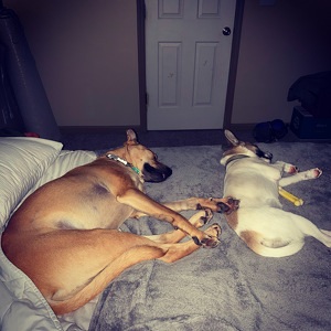 Fundraising Page: Caitlin Hamilton